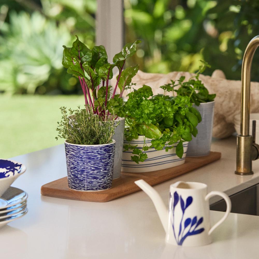 Royal Doulton Pacific Watering Can 21cm Blue