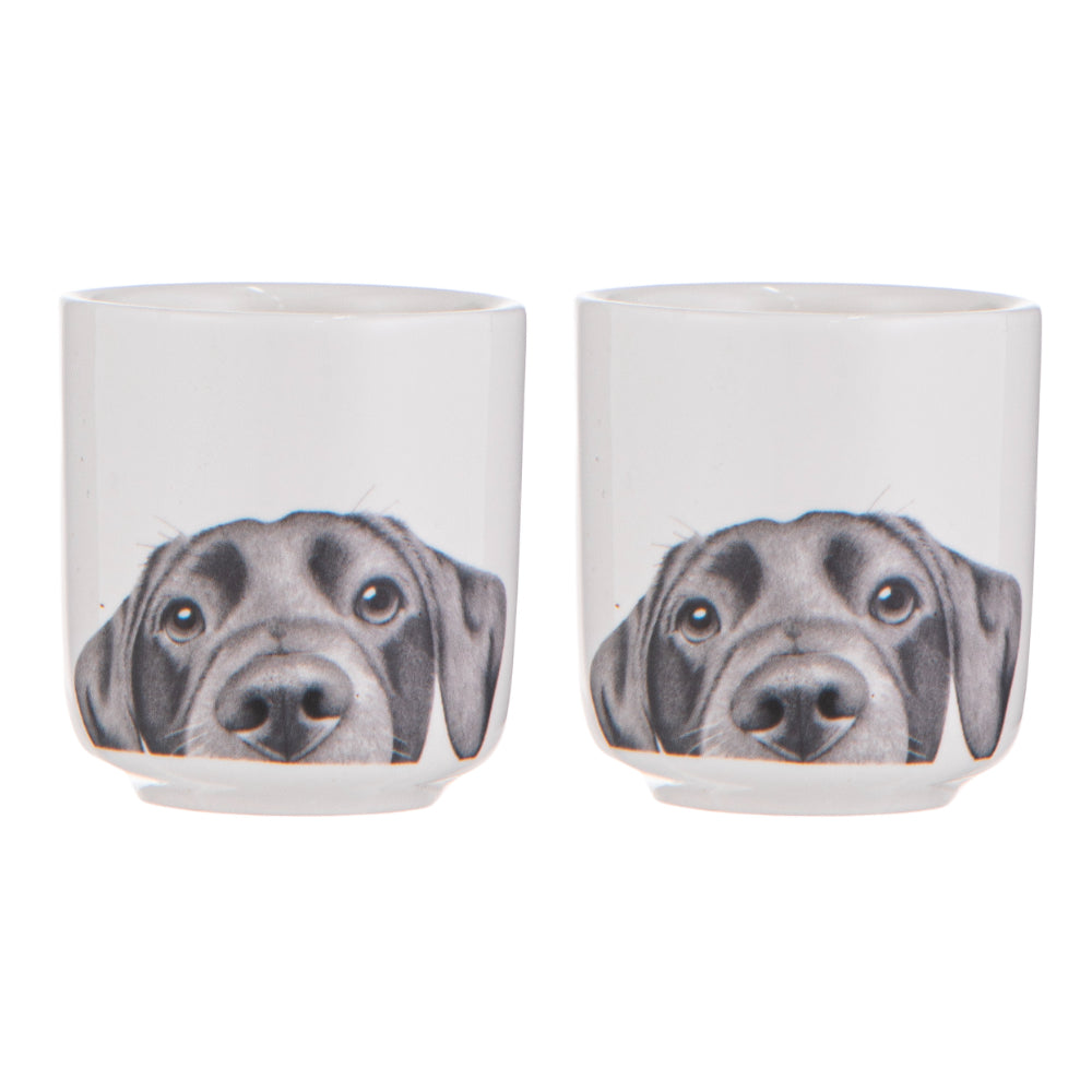 Ashdene Peeking Pups Labrador Set of 2 Egg Cups