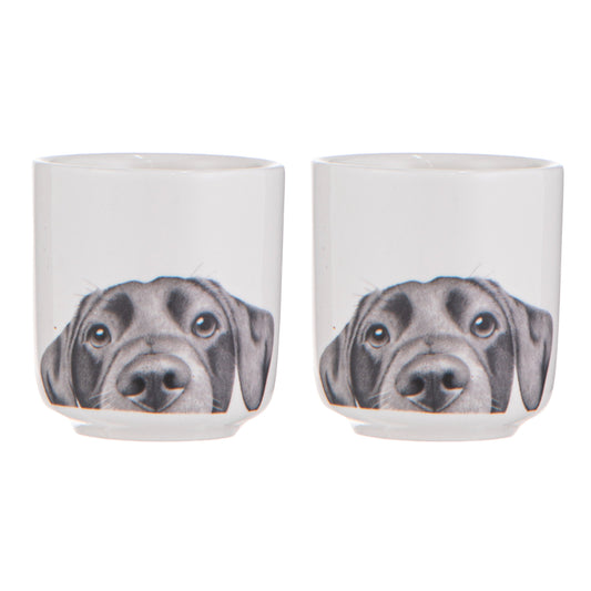 Ashdene Peeking Pups Labrador Set of 2 Egg Cups