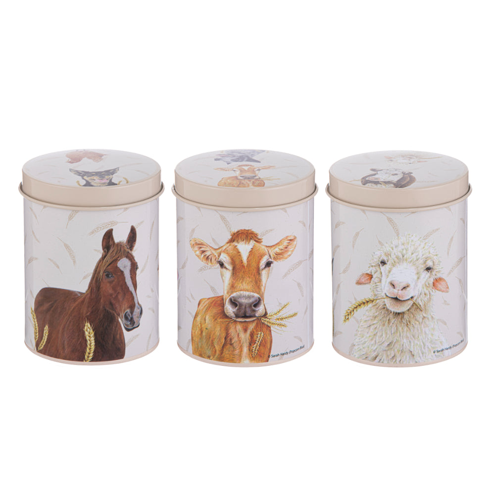 Ashdene Farmyard Faces Set of 3 Canisters