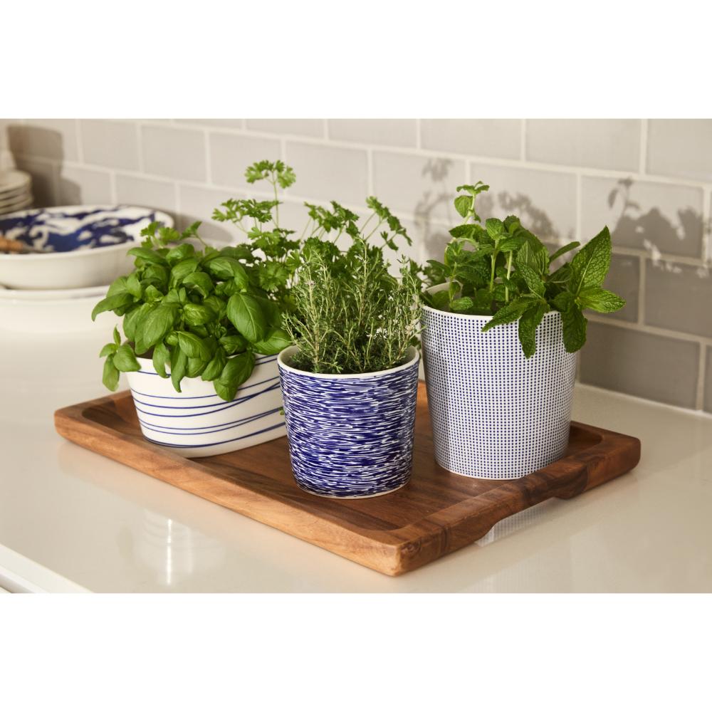 Royal Doulton Pacific Trough Herb Planter